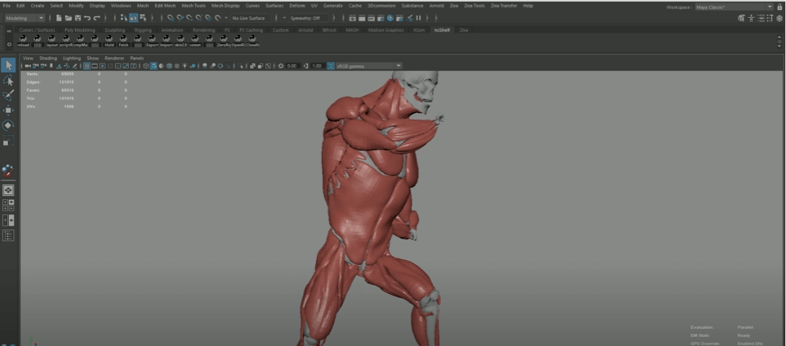 带翻译Houdini20.5 肌肉模拟动画全流程完Mastering Houdini Muscles: A Studio Level VFX Workflow