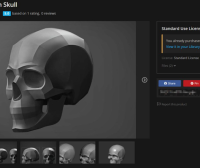 人类头骨简化几何体